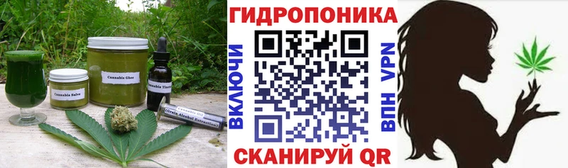 Cannafood конопля  блэк спрут сайт  Суворов 