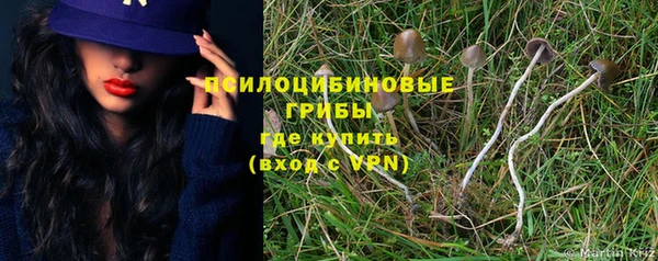 бошки Магадан