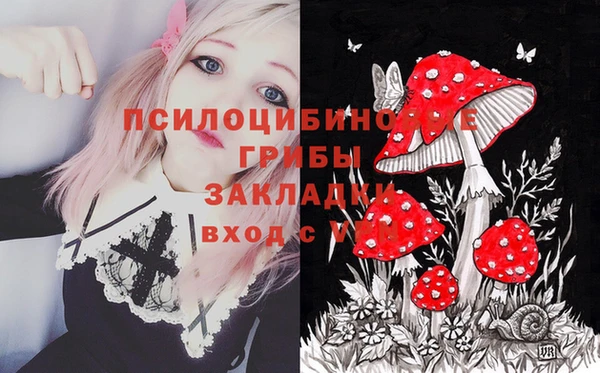 гидропоника Магас