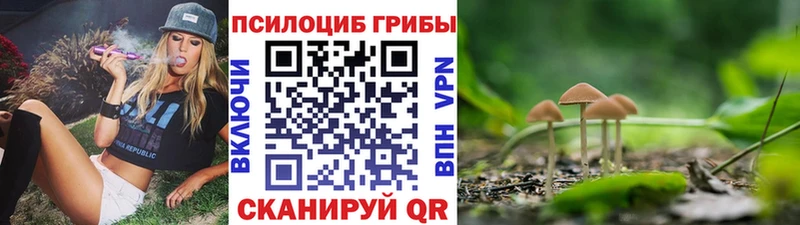 МЕГА онион  где купить наркоту  Суворов  Псилоцибиновые грибы GOLDEN TEACHER 